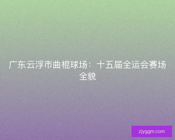广东云浮市曲棍球场：十五届全运会赛场全貌