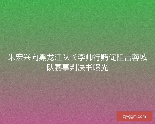 朱宏兴向黑龙江队长李帅行贿促阻击蓉城队赛事判决书曝光