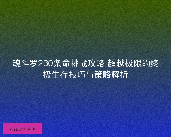 魂斗罗230条命挑战攻略 超越极限的终极生存技巧与策略解析