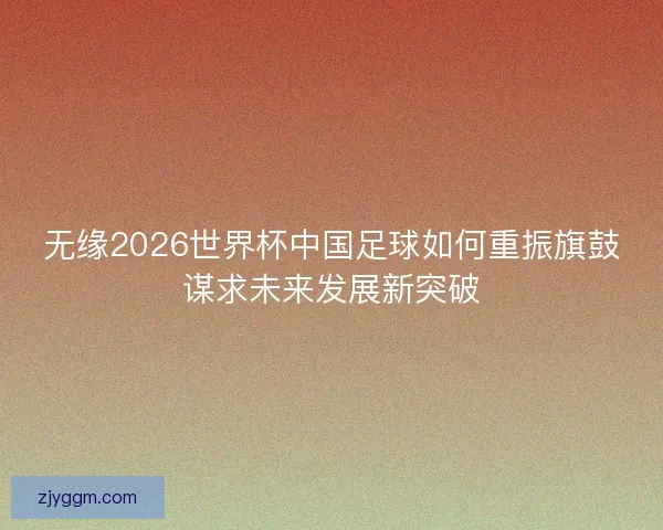 无缘2026世界杯中国足球如何重振旗鼓谋求未来发展新突破