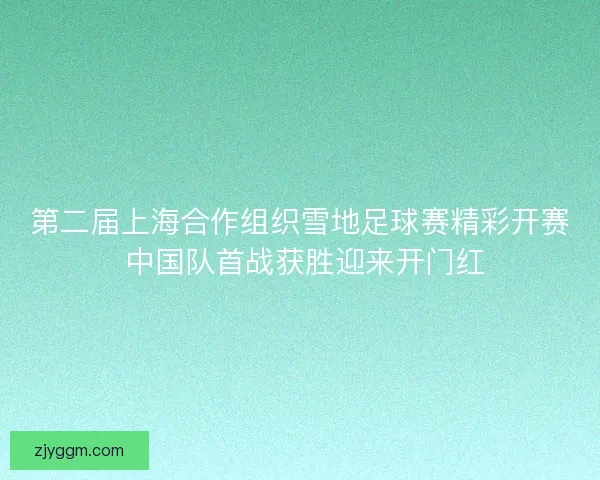 第二届上海合作组织雪地足球赛精彩开赛 中国队首战获胜迎来开门红