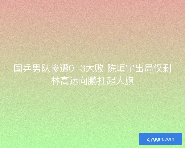 国乒男队惨遭0-3大败 陈垣宇出局仅剩林高远向鹏扛起大旗