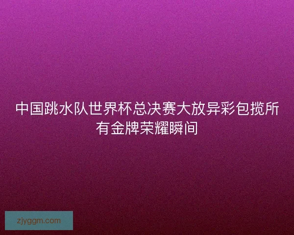 中国跳水队世界杯总决赛大放异彩包揽所有金牌荣耀瞬间